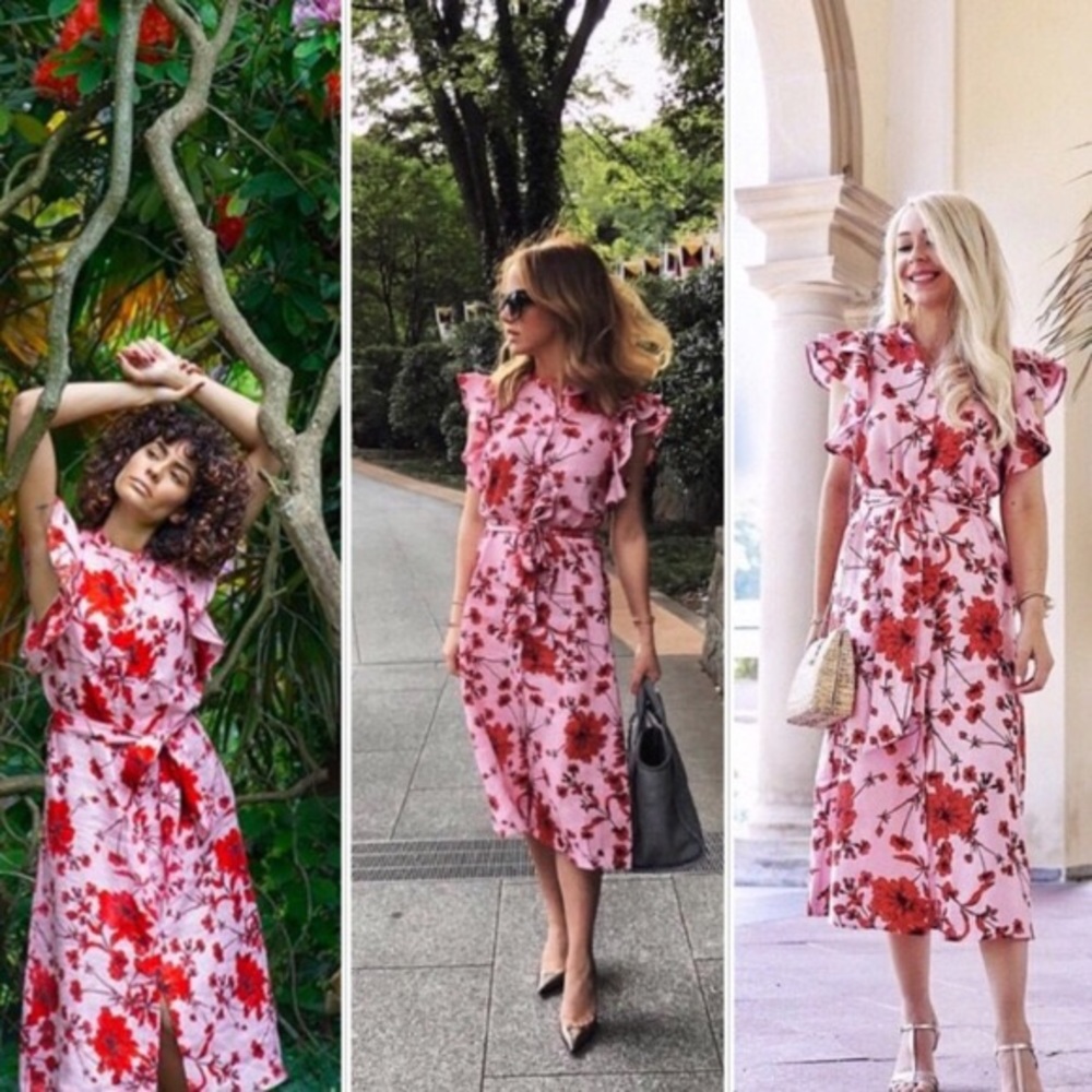 Zara Midi Dress:  Pink with Red Floral Print